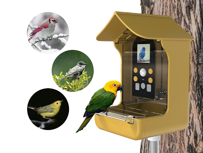 Smart Bird Feeder Camera BC01 with 1080P Video - Detail 5